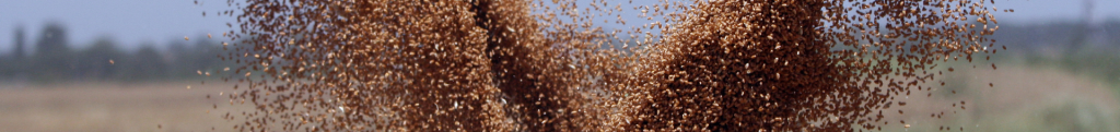 Agriculture Seed and Grain banner
