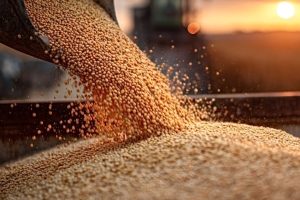 Dust control for Agriculture, Seed & Grain